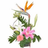 ͬʻٵ